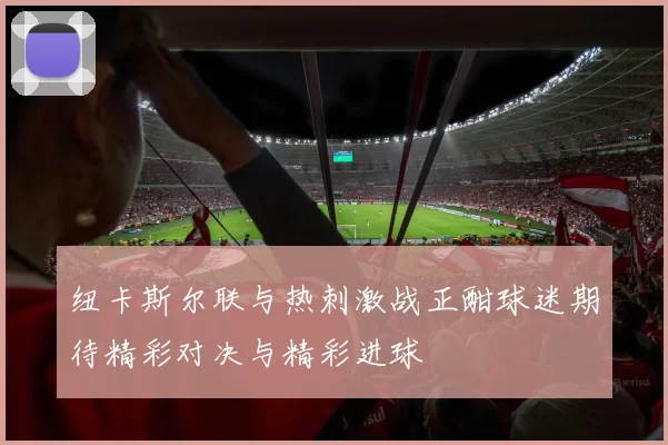 纽卡斯尔联与热刺激战正酣球迷期待精彩对决与精彩进球