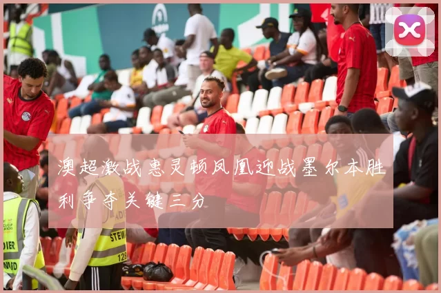 澳超激战惠灵顿凤凰迎战墨尔本胜利争夺关键三分