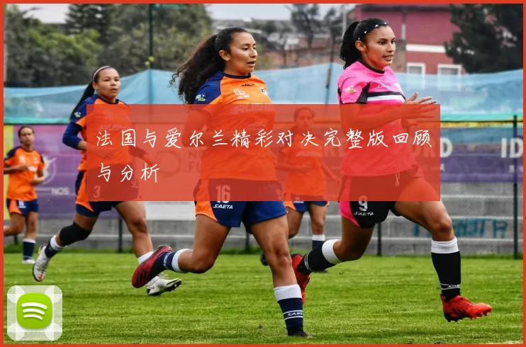 法国与爱尔兰精彩对决完整版回顾与分析